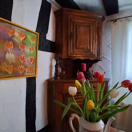 Ferienhaus Ferien Im Kellisch-haus Schalkenmehren